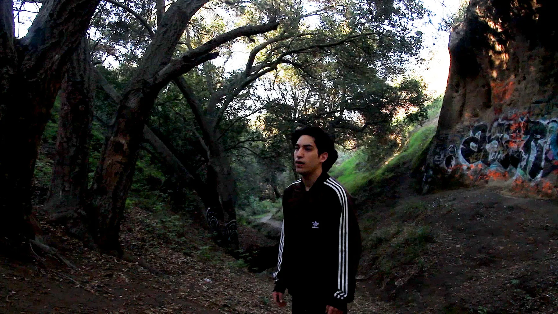 Ian Bloom in Driver 2016 as the Driver crossing the zone in a ravine